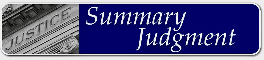 Summary Judgement Principles