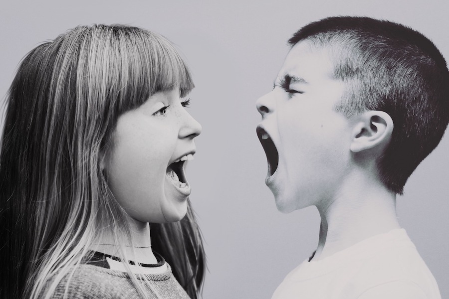 Sibling Rivalry in Dysfunctional Families and Estate Litigation