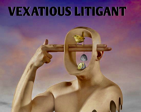 Vexatious Litigants