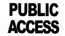 Public Court Access and Court Documents